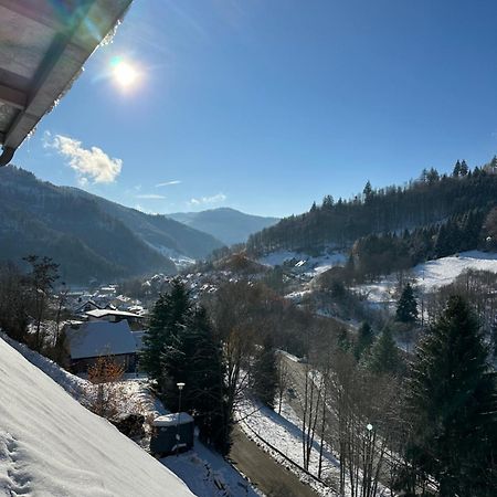 Bollenlodge - Ferienwohnung Mit Ausblick Und Top Lage 托特瑙 外观 照片