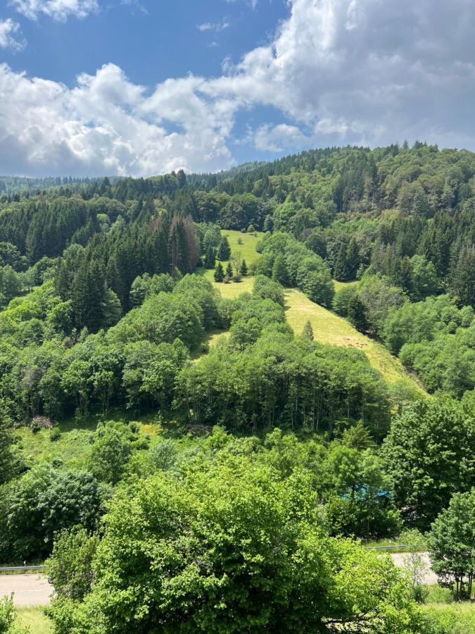 Bollenlodge - Ferienwohnung Mit Ausblick Und Top Lage 托特瑙 外观 照片