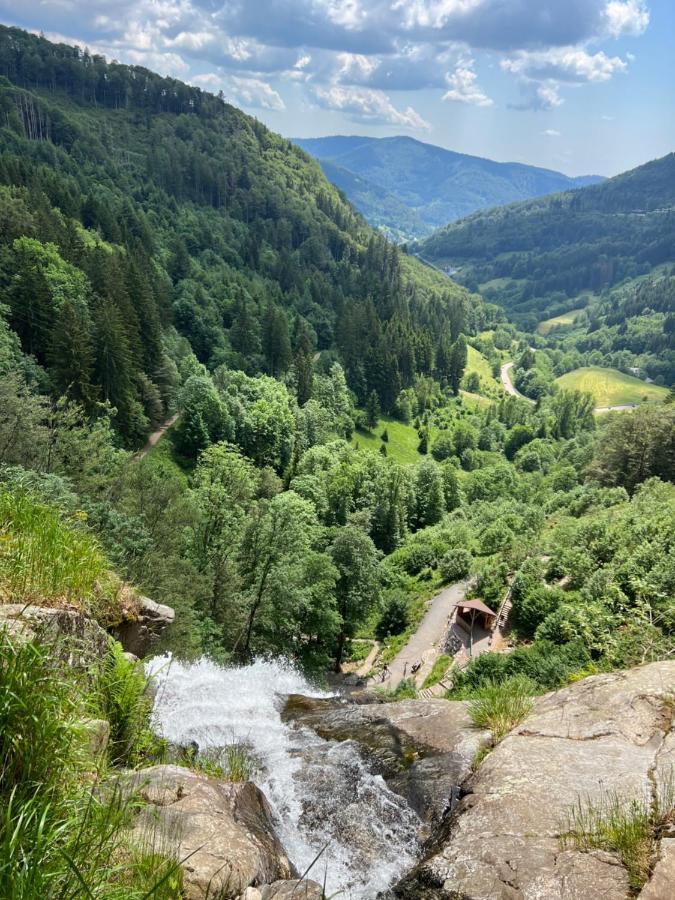 Bollenlodge - Ferienwohnung Mit Ausblick Und Top Lage 托特瑙 外观 照片