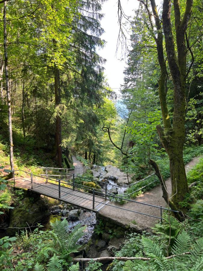 Bollenlodge - Ferienwohnung Mit Ausblick Und Top Lage 托特瑙 外观 照片