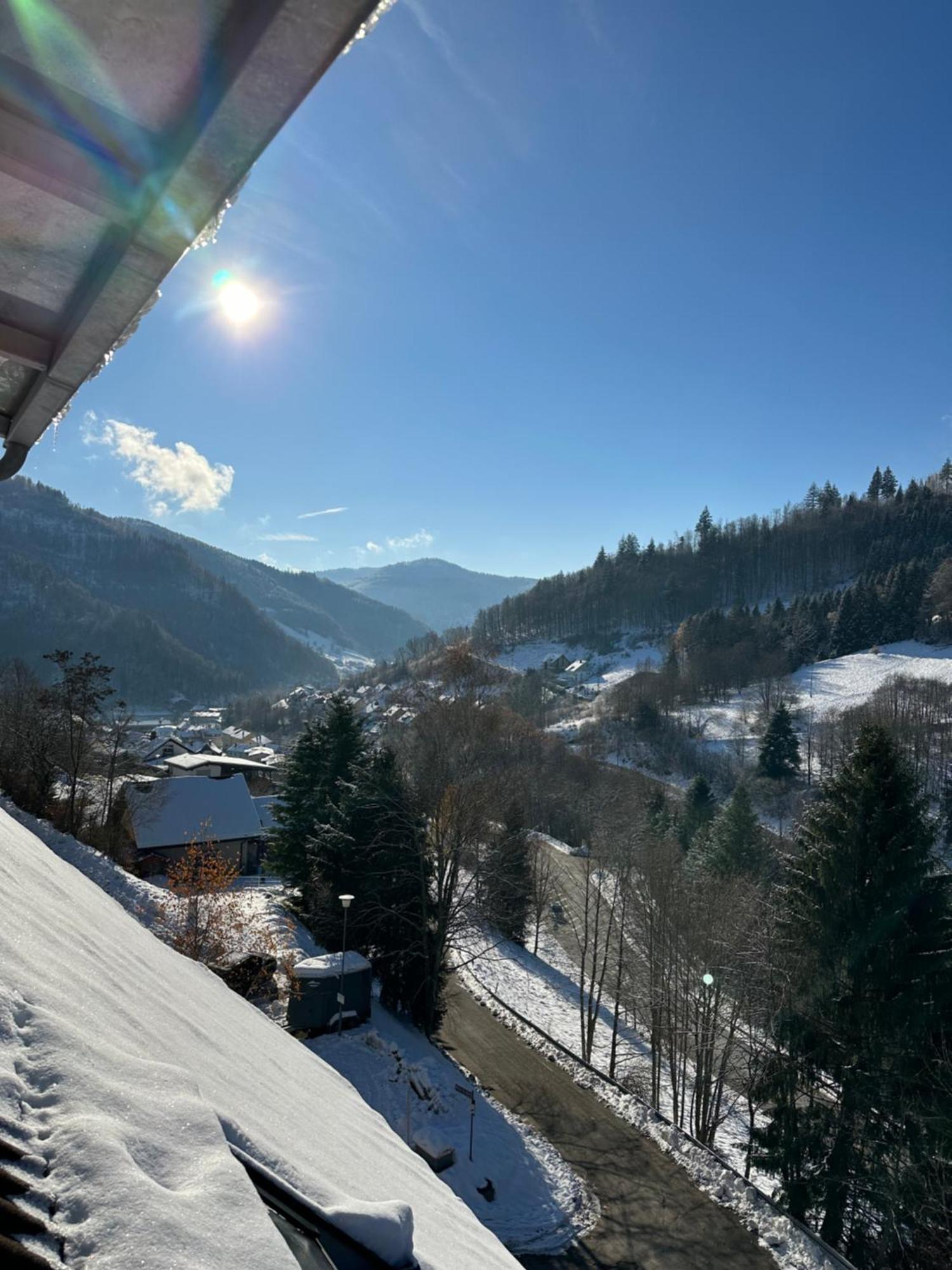 Bollenlodge - Ferienwohnung Mit Ausblick Und Top Lage 托特瑙 外观 照片